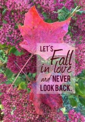 Let's Fall in Love and Never Look Back - A Journal