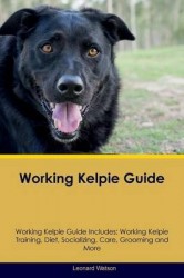 WORKING KELPIE GD WORKING KELP