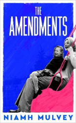 The Amendments - the instant Irish bestseller about one family through the generations