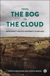 From the Bog to the Cloud - Dependency and Eco-Modernity in Ireland