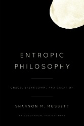 Entropic Philosophy - Chaos, Breakdown, and Creation