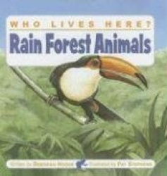 Rain Forest Animals