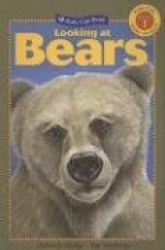Looking at Bears