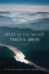 Wade in the Water - Poems