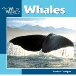 Whales