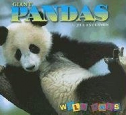 Giant Pandas