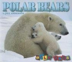 Polar Bears