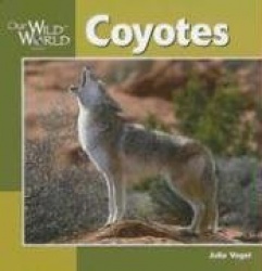 Coyotes