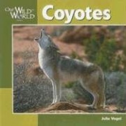 Coyotes