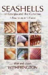 Seashells of Georgia and the Carolinas