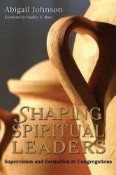 Shaping Spiritual Leaders - Supervision and Formation in Congregations