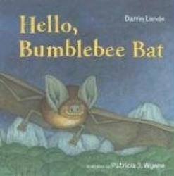 Hello, Bumblebee Bat