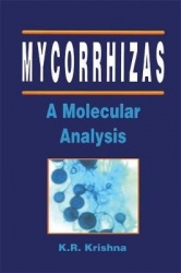 Mycorrhizas - A Molecular Analysis