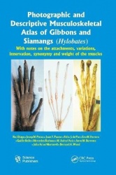 Photographic and Descriptive Musculoskeletal Atlas of Gibbons and Siamangs (Hylobates) - With Notes on the Attachments, Variatio