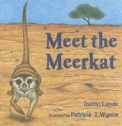 Meet the Meerkat