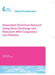 Hexavalent Chromium Removal Using Anion Exchange and Reduction with Coagulation and Filtration