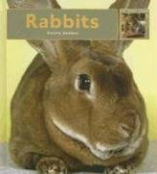 Rabbits