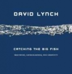 Catching the Big Fish; Meditation, consciousness, and creativity