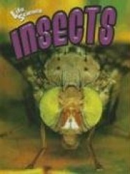 Insects