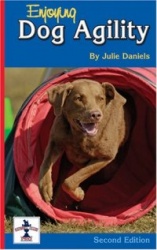 Enjoying Dog Agility