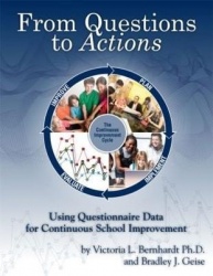 From Questions to Actions - Using Questionnaire Data for Continuous School Improvement