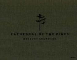 Cathedral of the Pines
