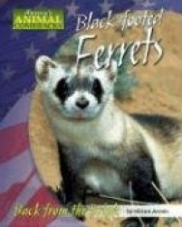 Black-Footed Ferrets - Back from the Brink
