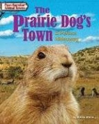 The Prairie Dog's Town