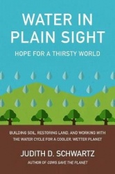 Water in Plain Sight