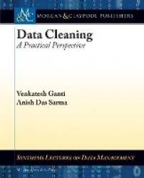 Data Cleaning - A Practical Perspective