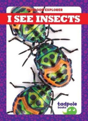I See Insects