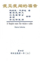 The Gospel As Revealed to Me (Vol 4) - Simplified Chinese Edition - 我见我闻的福音（第四册：耶稣宣教第一年(上)）