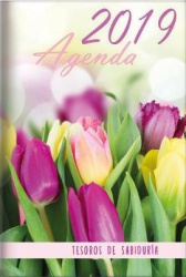 2019 Agenda - Tesoros de Sabiduria - Mariposas - Con Un Pensamiento Motivador O Un Versiculo de la Biblia Para Cada Dia del Ano