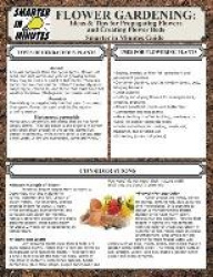 Flower Gardening - Ideas & Tips for Propagating Flowers and Creating Flower Beds