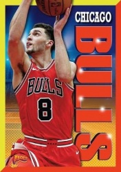 Chicago Bulls