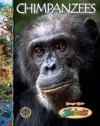 Chimpanzees