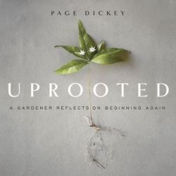 Uprooted - A Gardener Reflects on Beginning Again
