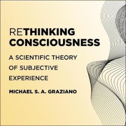Rethinking Consciousness - A Scientific Theory of Subjective Experience