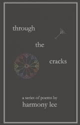 Through the Cracks