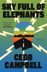 Sky Full of Elephants - A Novel