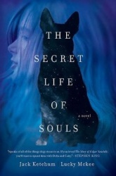 The Secret Life of Souls - A Novel