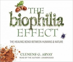 The Biophilia Effect - The Healing Bond Between Humans and Nature