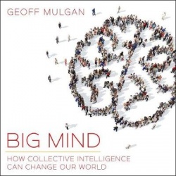 Big Mind - How Collective Intelligence Can Change Our World