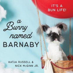 A Bunny Named Barnaby - It's a Bun Life