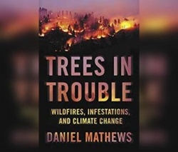 Trees in Trouble: Wildfires, Infestations, and Climate Change