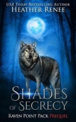 Shades of Secrecy - Prequel Novella