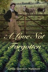 A Love Not Forgotten