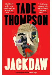 Jackdaw