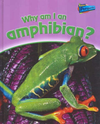 Why am I an Amphibian?
