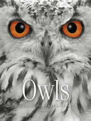 Owls